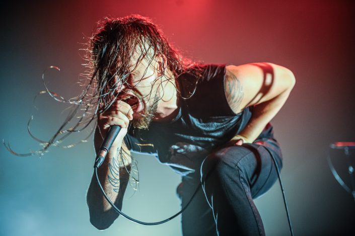 Dagoba plays in Lyon 2016